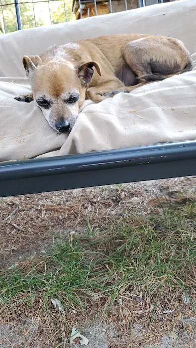 Pleasant View Animal Clinic 6