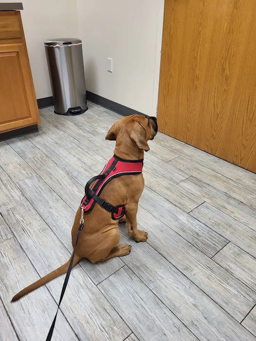 Riversbend Animal Hospital 5