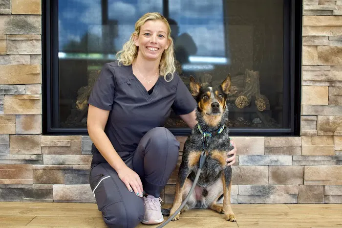 Greenville Animal Hospital 5