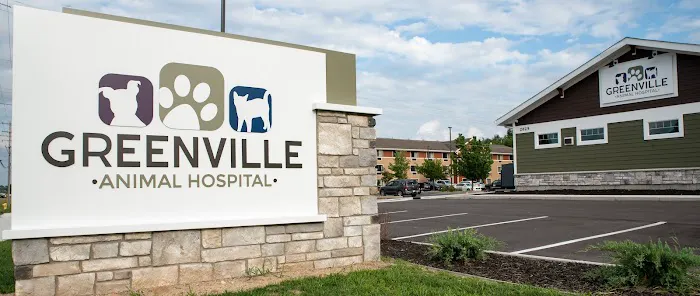 Greenville Animal Hospital 3