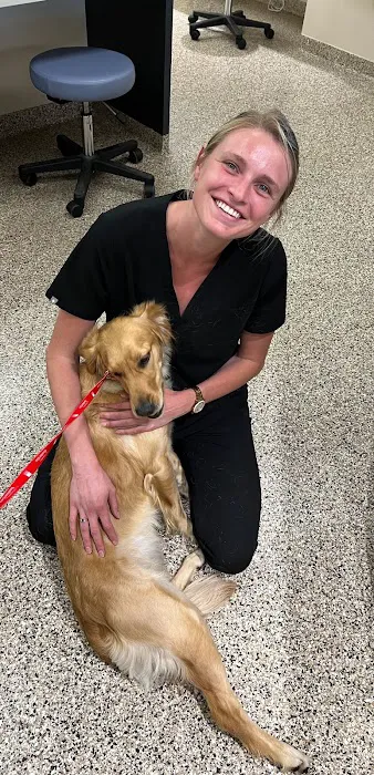 Greenville Animal Hospital 8
