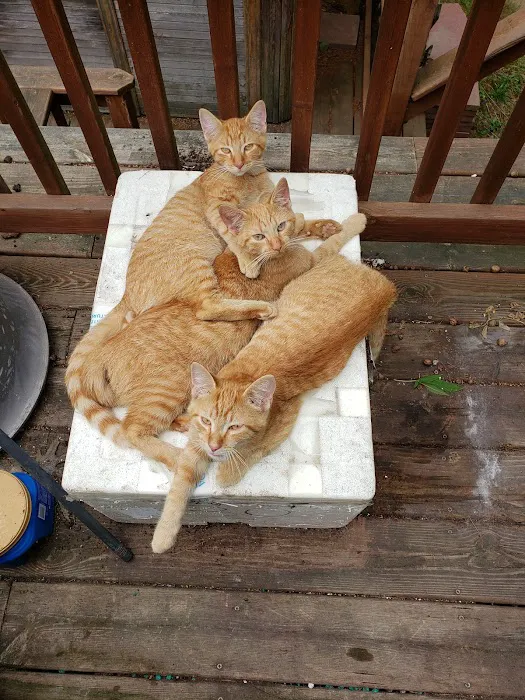 Spay Neuter Express - Greenville Office 7