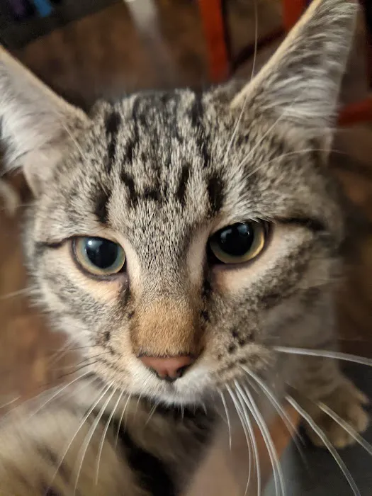 Spay Neuter Express - Greenville Office 5