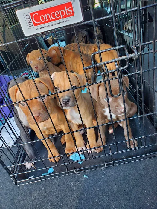 Town And Country Animal Clinic 4