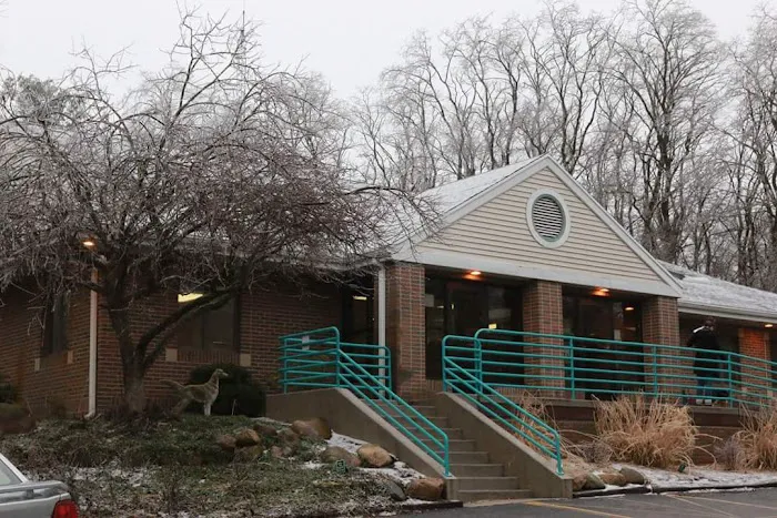 Town And Country Animal Clinic 6