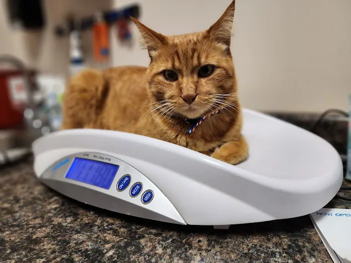 Sheridan Animal Hospital, Inc. 9