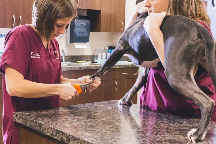 Sheridan Animal Hospital, Inc. 4