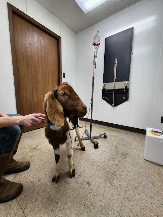 Prairie Creek Veterinary Services 9