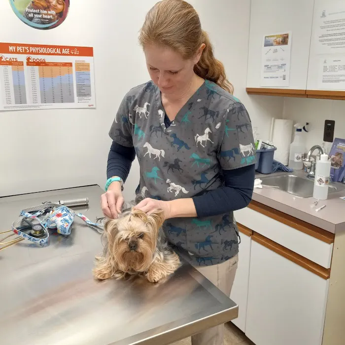 Prairie Creek Veterinary Services 6