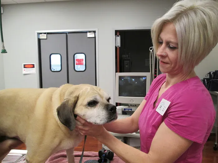 VCA Texas Corners Animal Hospital 5