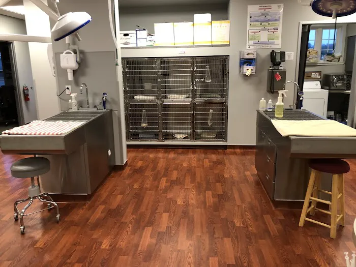 VCA Texas Corners Animal Hospital 10