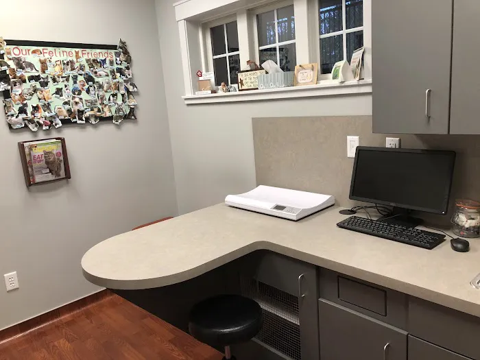 VCA Texas Corners Animal Hospital 2