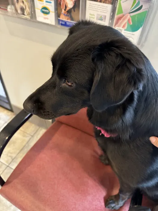 VCA Texas Corners Animal Hospital 3