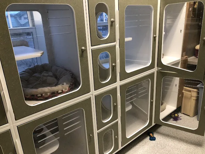 VCA Texas Corners Animal Hospital 6