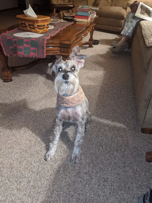 VCA Texas Corners Animal Hospital: Veneklase Brett DVM 1