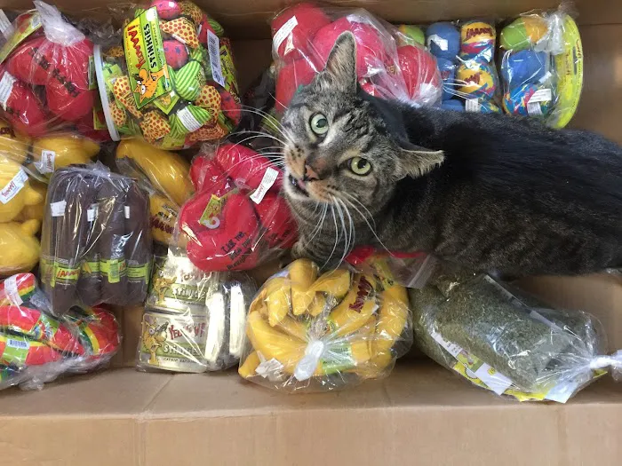 Red Barn Cat Clinic, LLC 2