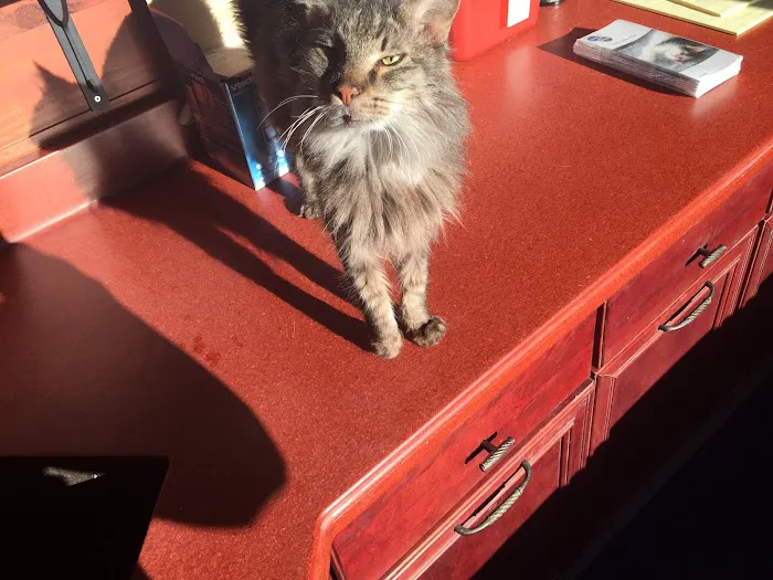 Red Barn Cat Clinic, LLC 6