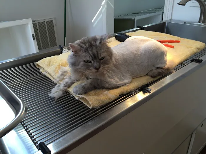 Red Barn Cat Clinic, LLC 9