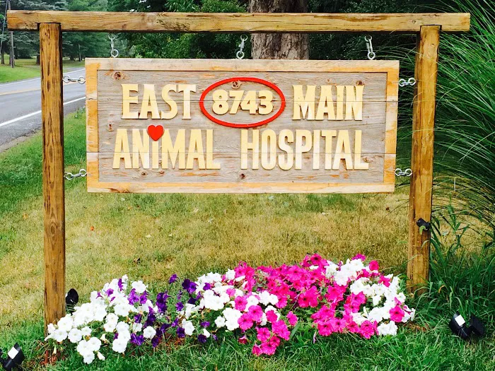 East Main Animal Hospital 2