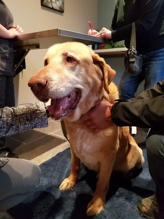 Sprinkle Road Veterinary Clinic 5