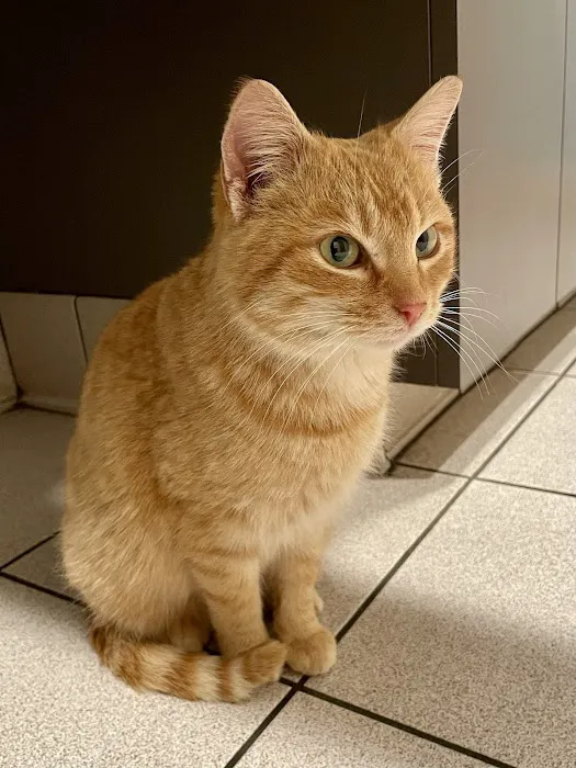 Sprinkle Road Veterinary Clinic 8