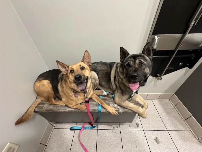 Sprinkle Road Veterinary Clinic 10