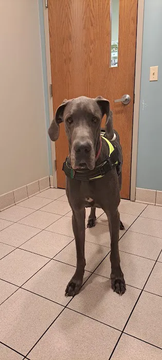 Sprinkle Road Veterinary Clinic 2