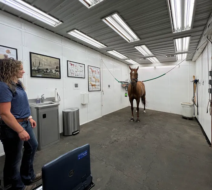 Allen Equine Veterinary Services 2