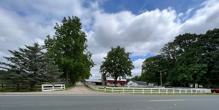 Allen Equine Veterinary Services 1