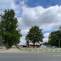Allen Equine Veterinary Services ico