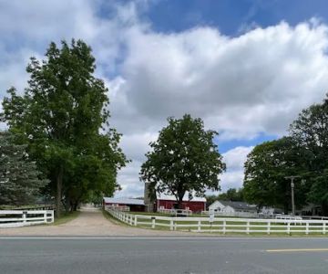 Allen Equine Veterinary Services