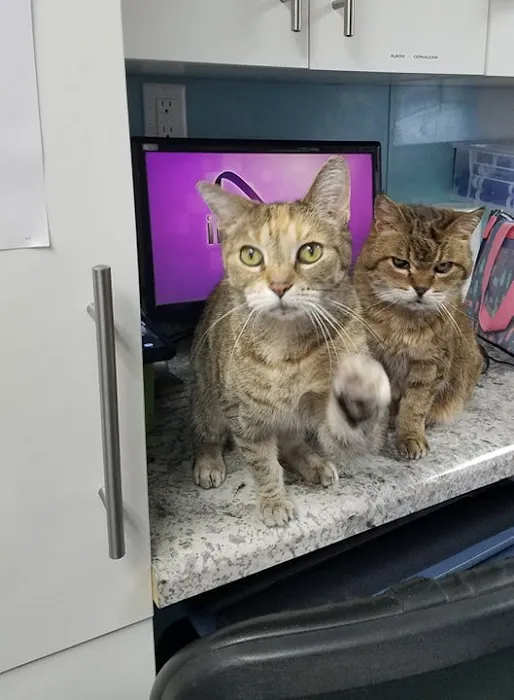 Turner Veterinary Clinic 3