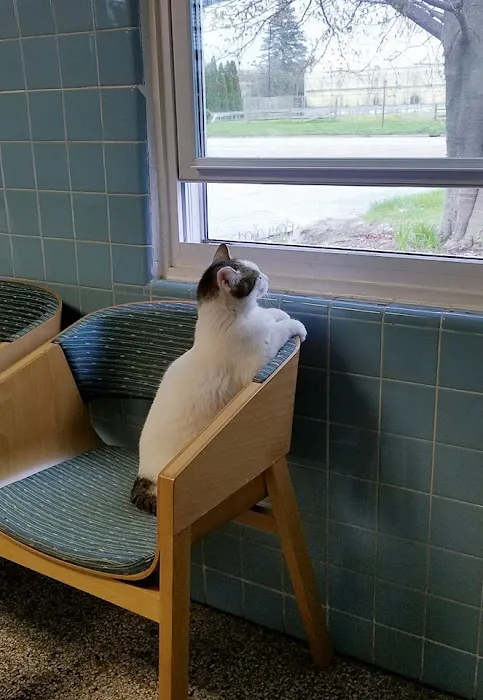 Turner Veterinary Clinic 5