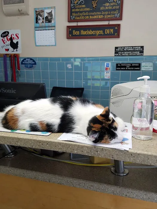Turner Veterinary Clinic 9