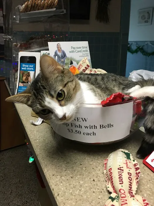Turner Veterinary Clinic 6