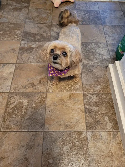 Turner Veterinary Clinic 10