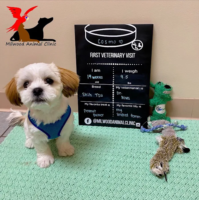 Milwood Animal Clinic 6