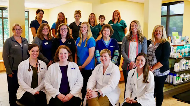 VCA Portage Animal Hospital 3
