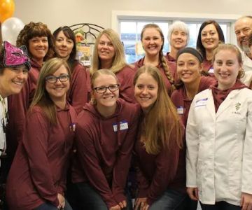 Lakeview Animal Hospital