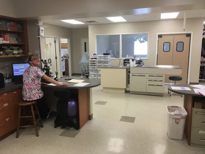 Lakeview Animal Hospital 3