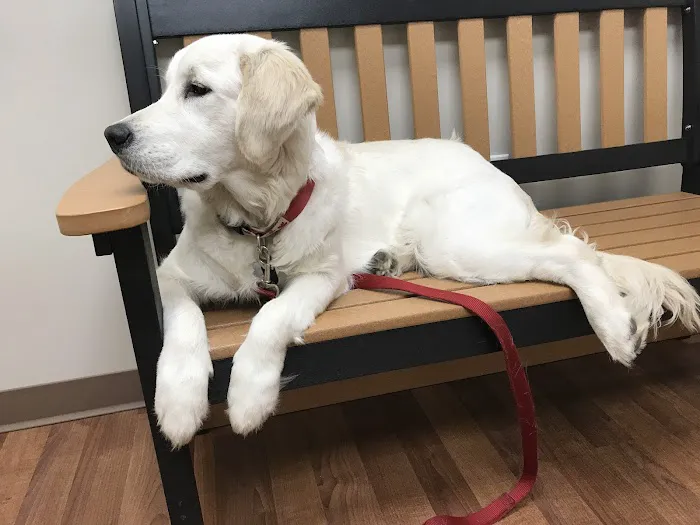 Lakeview Animal Hospital 6