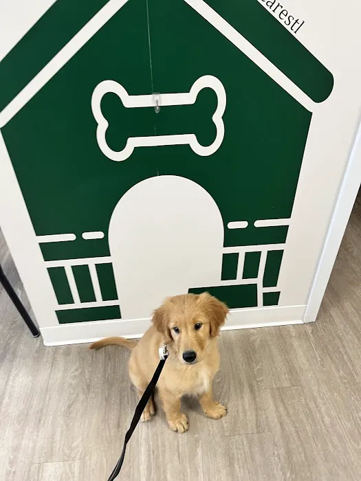 Kind Veterinary Care 3