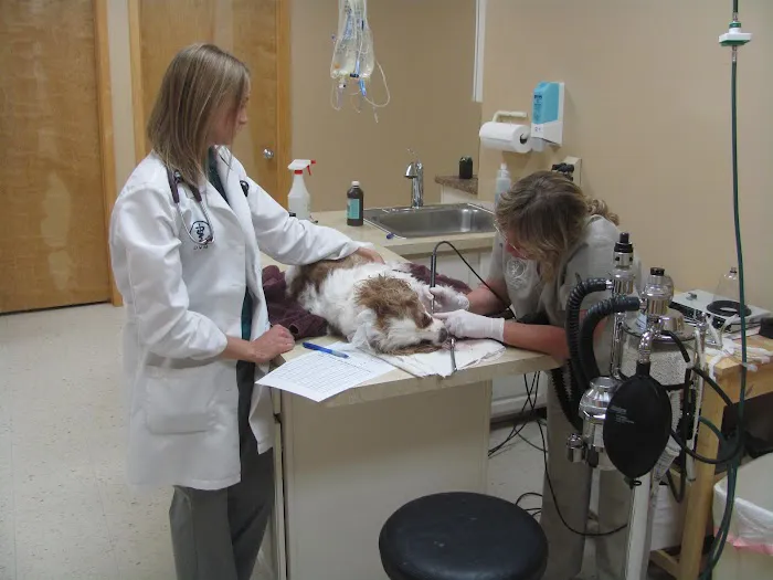 Valley Veterinary Clinic 3