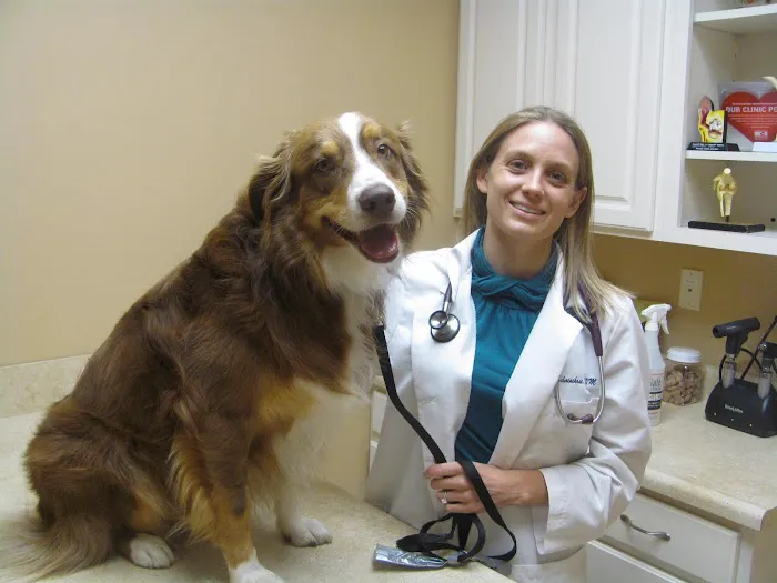Valley Veterinary Clinic 1