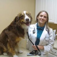 Valley Veterinary Clinic ico