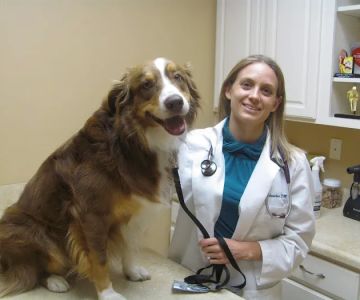 Valley Veterinary Clinic