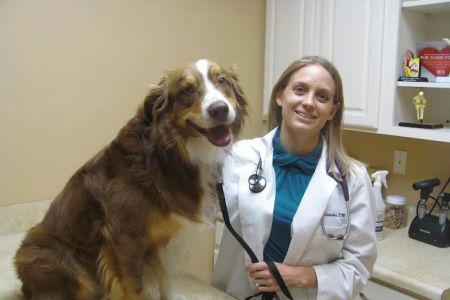 Valley Veterinary Clinic