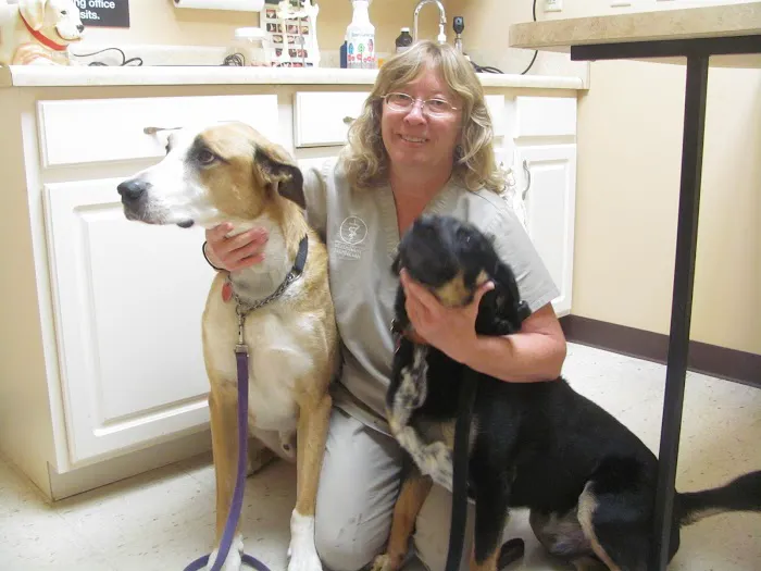 Valley Veterinary Clinic 4