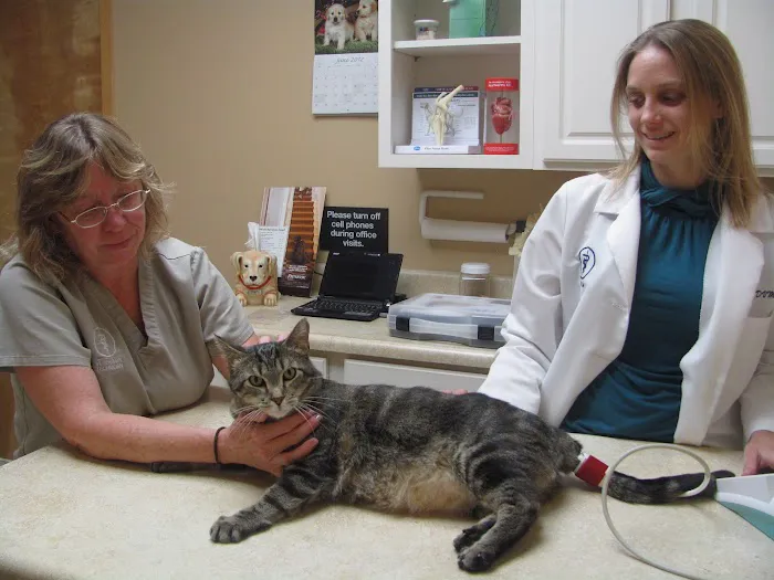 Valley Veterinary Clinic 2