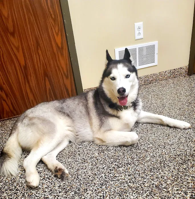 Bentley Animal Hospital 12
